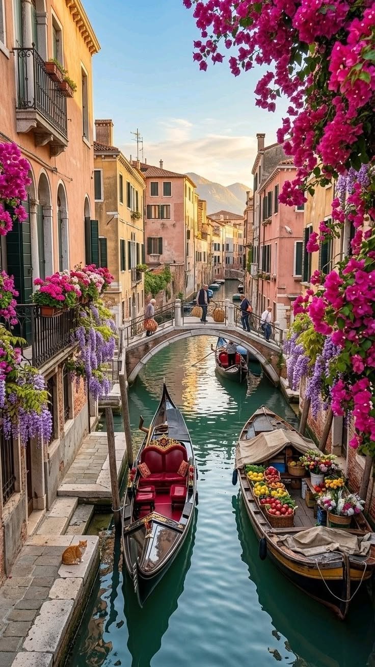 Gondola Ride