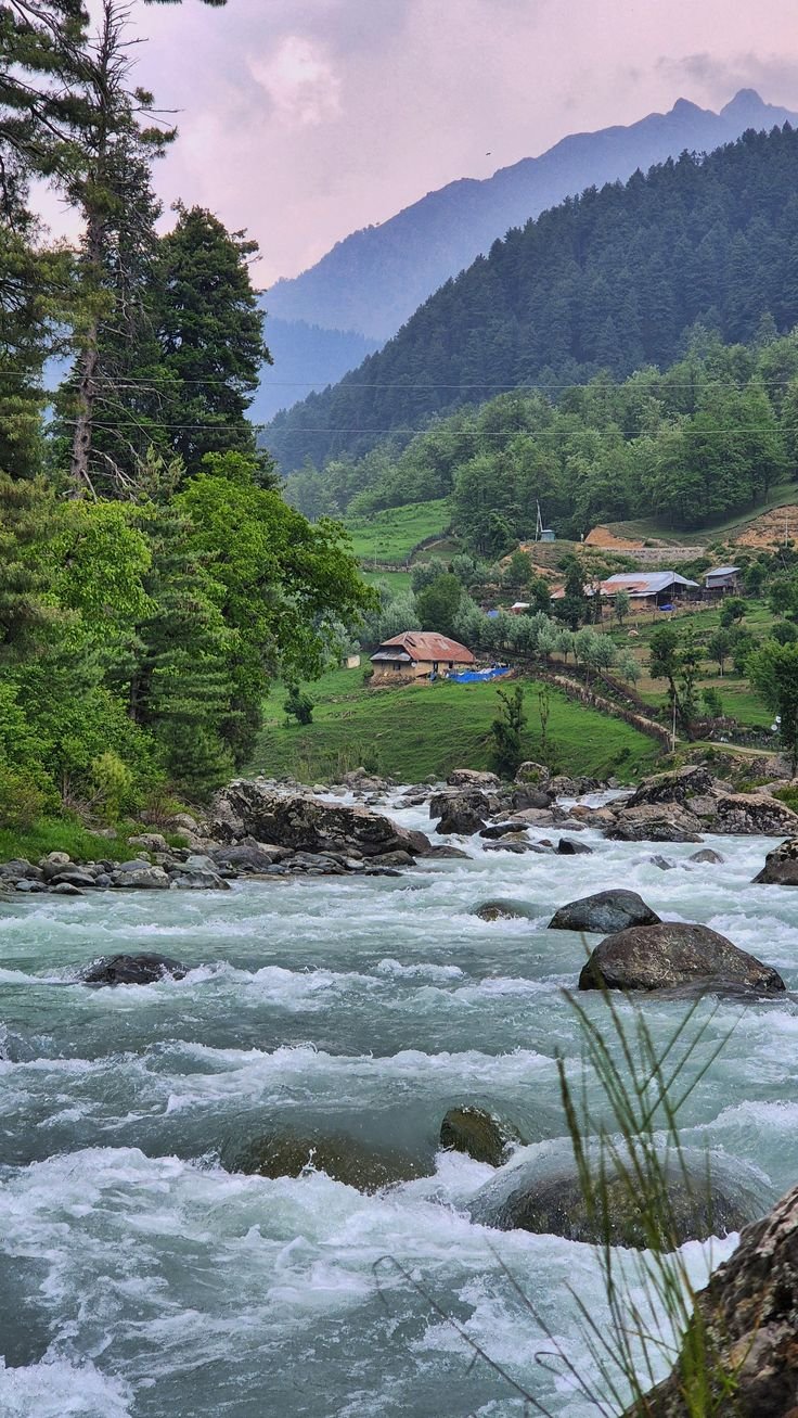 Patnitop